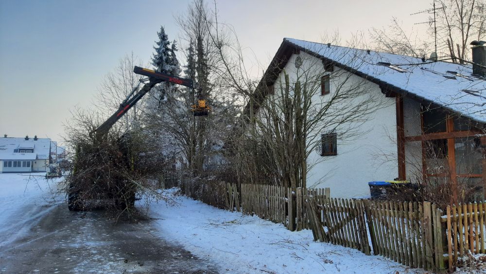 Rodung und Baufeldräumung