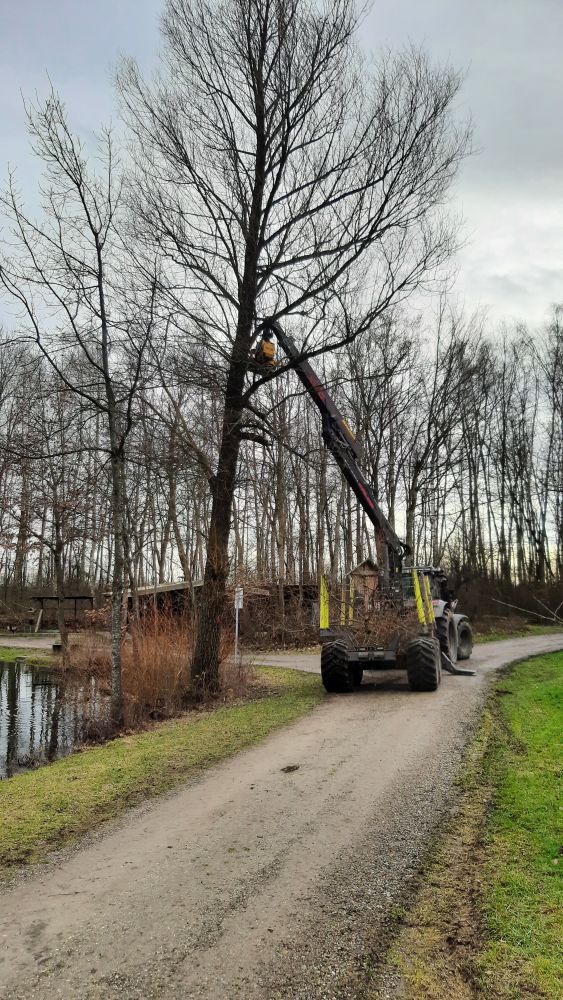 Landschaftspflege