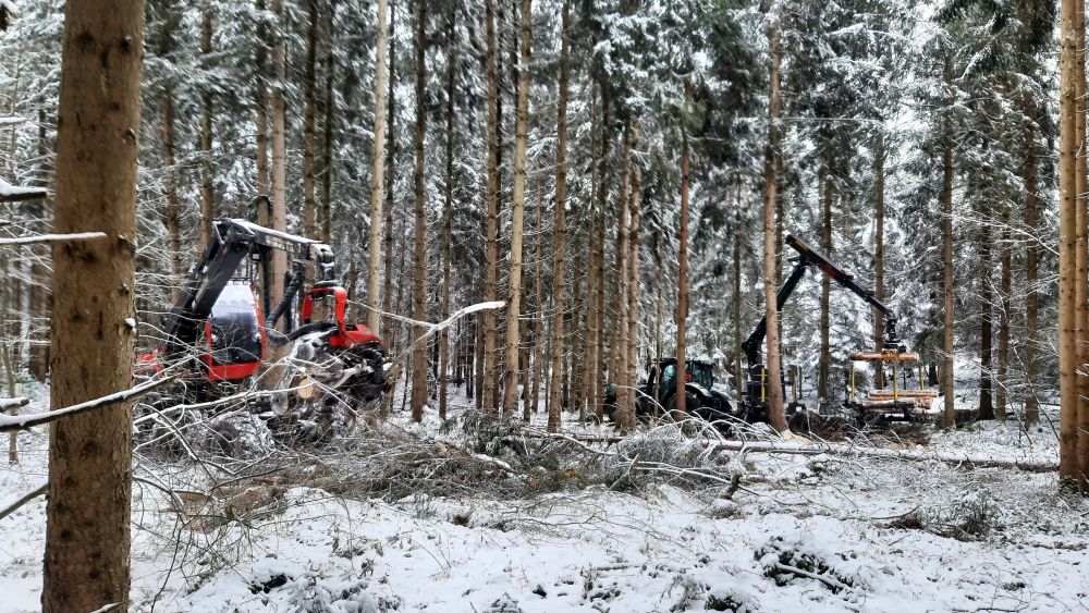 Holzeinschlag und Holzrückung